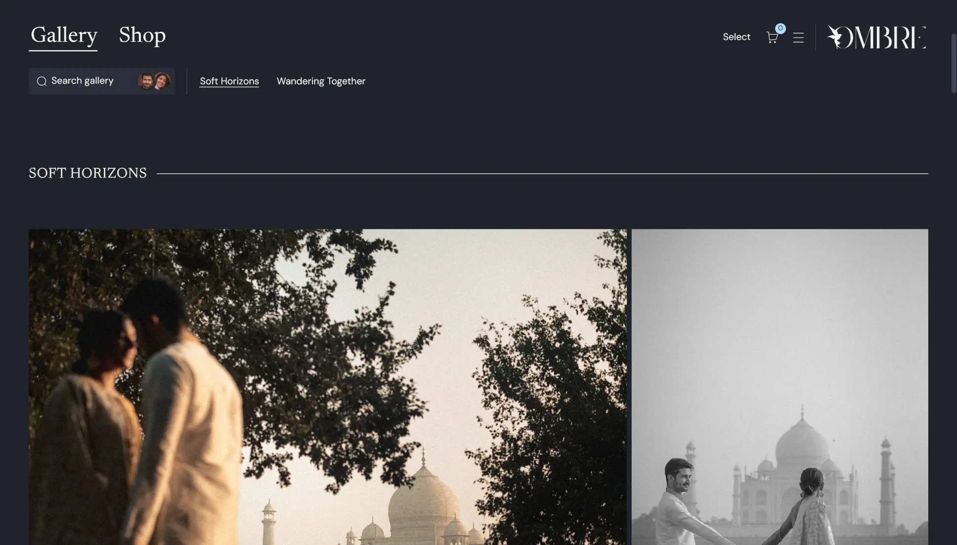 Dark navy Pic-time gallery theme with Soft Horizons chapter and paired Taj Mahal photos