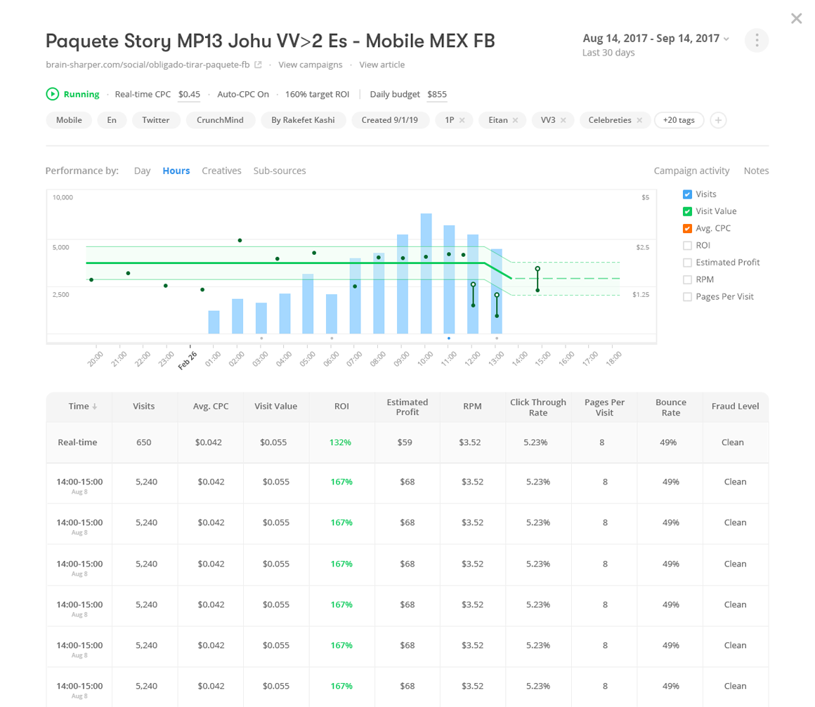 Pub+ campaign environment showing hourly performance chart, real-time CPC and ROI metrics table